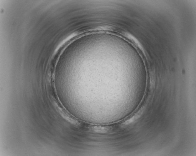 X0000081350827200701251922