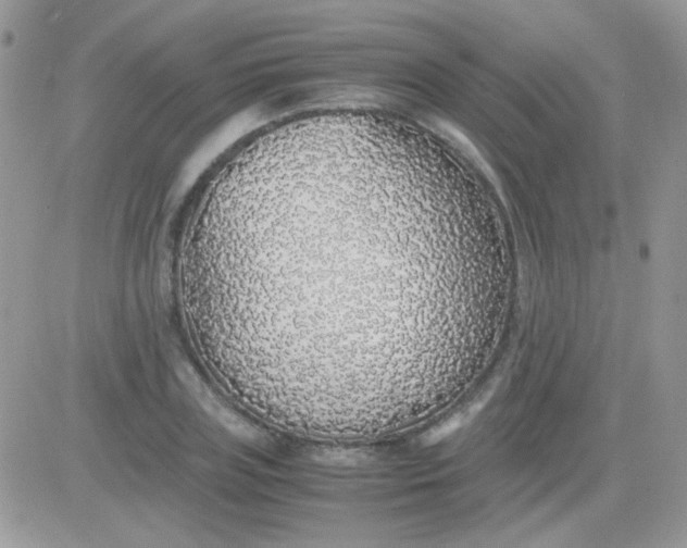 X0000081350835200701251922