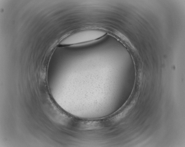 X0000081350841200701251922