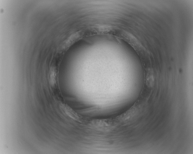 X0000081350866200701251921