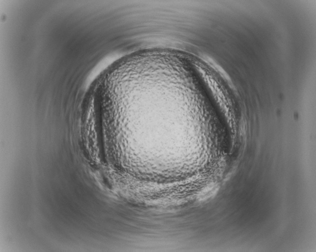 X0000081350877200701251921