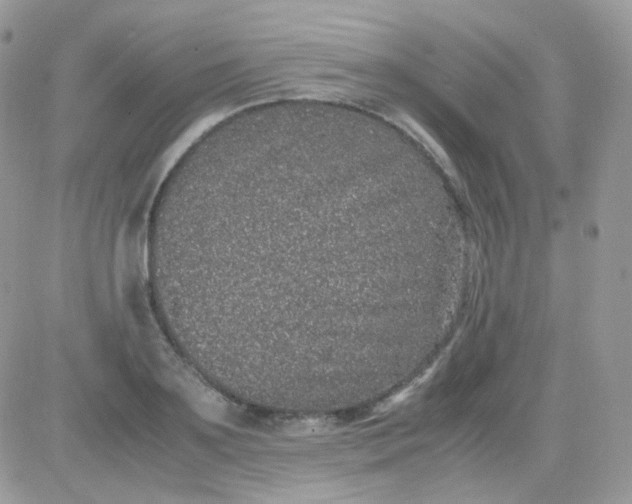 X0000081350891200701251921