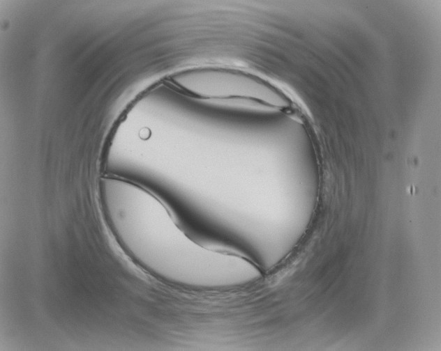 X0000081350895200701251921
