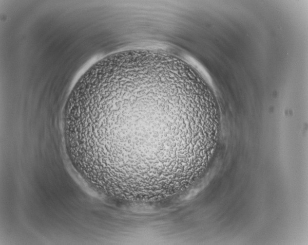 X0000081350907200701251921