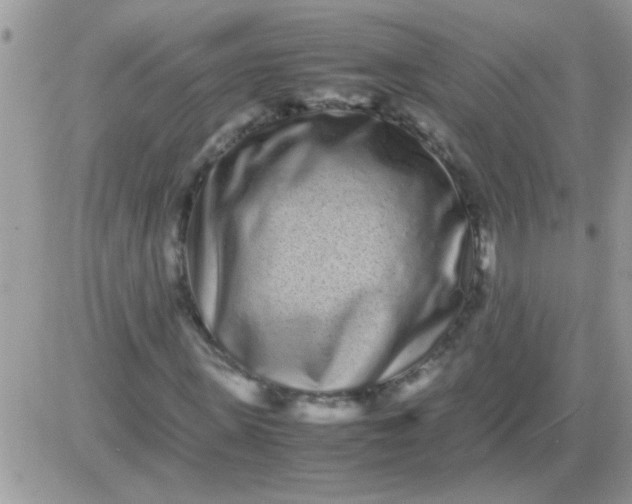 X0000081350915200701251920