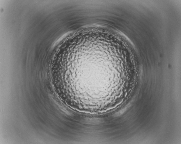 X0000081350921200701251920
