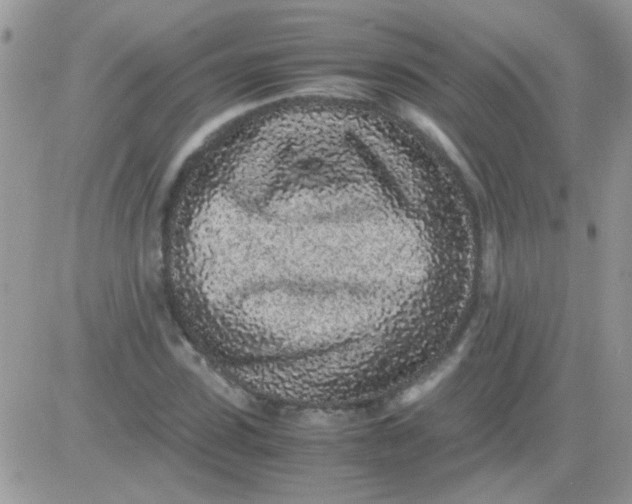X0000081350923200701251920