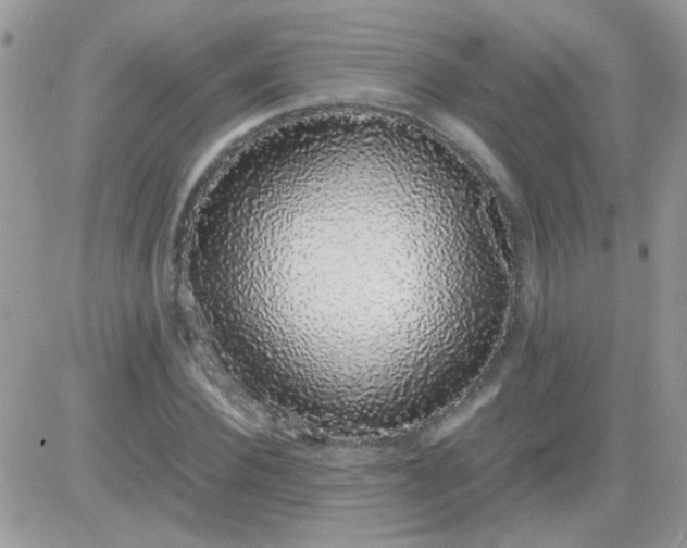 X0000081350924200701251920