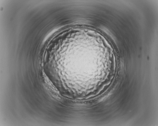 X0000081350925200701251920