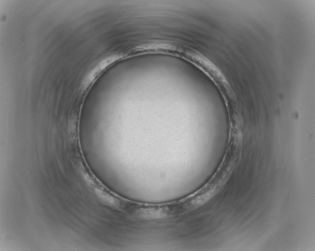 X0000081350937200701251920