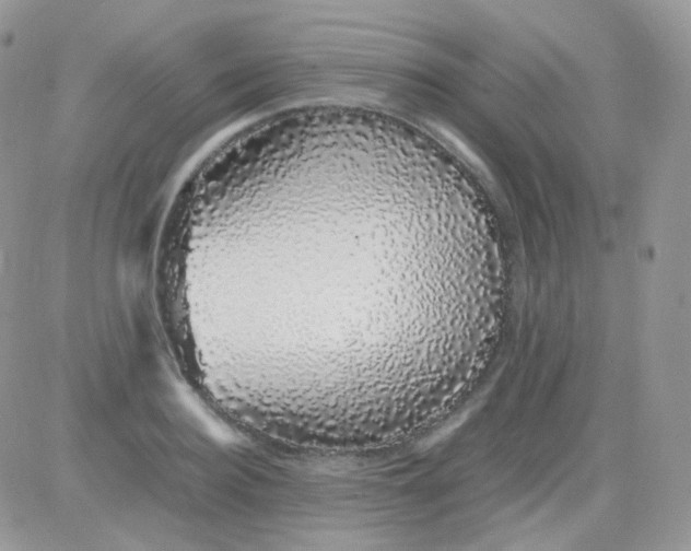 X0000081350940200701251920