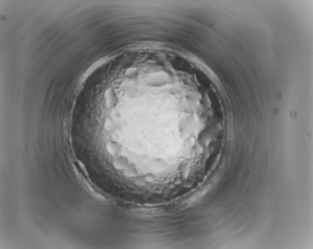 X0000081350953200701251920
