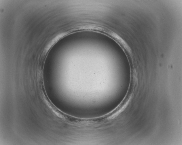 X0000081350993200701251919