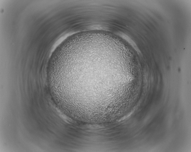 X0000081351023200701251918