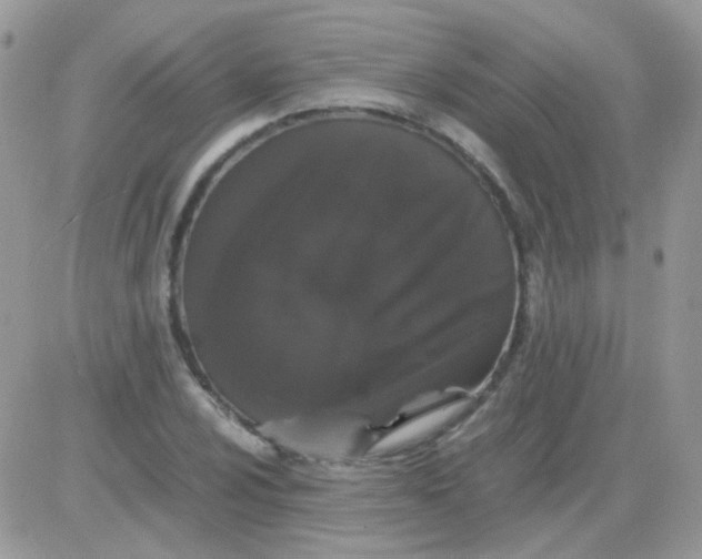 X0000081351024200701251918
