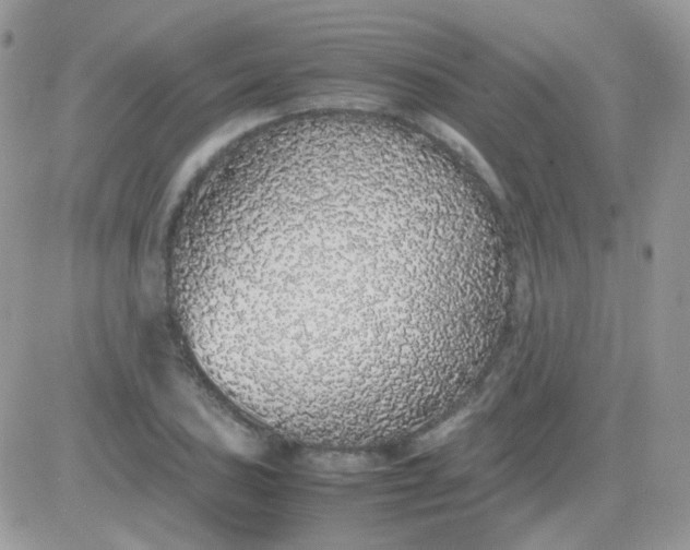 X0000081351027200701251919