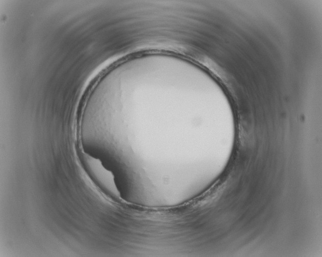 X0000081351028200701251919