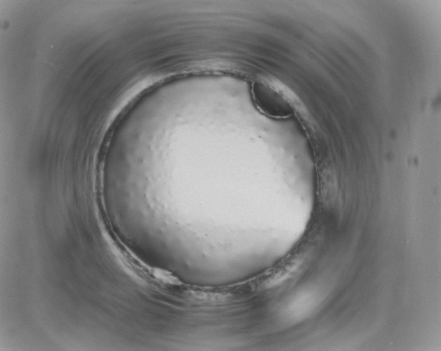 X0000081351039200701251919