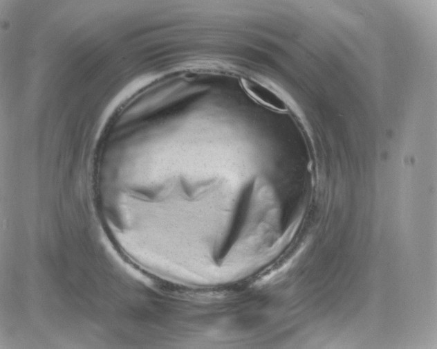 X0000081351045200701251919