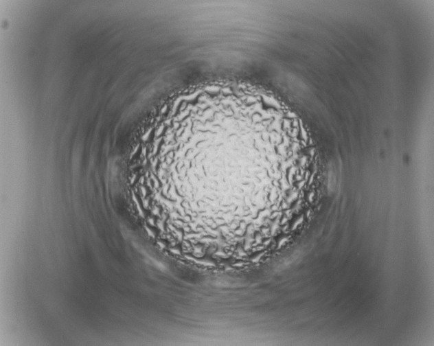 X0000081351059200701251918