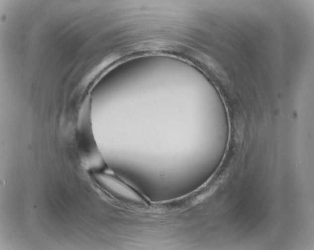 X0000081351073200701251918