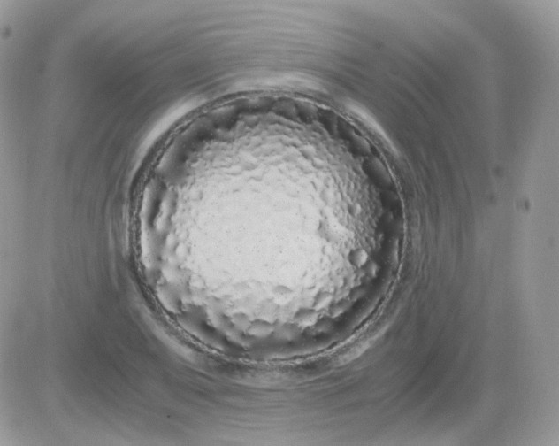 X0000081351079200701251918