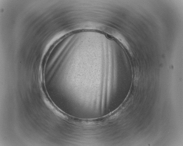 X0000081351080200701251918