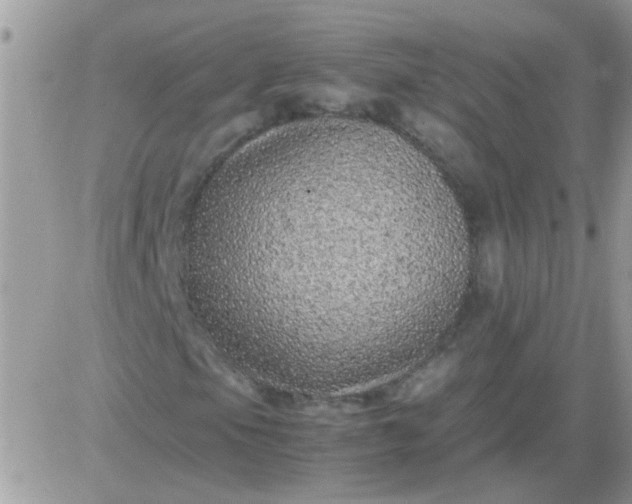 X0000081351105200701251917