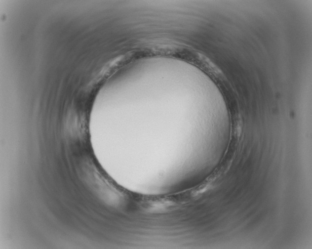 X0000081351108200701251917