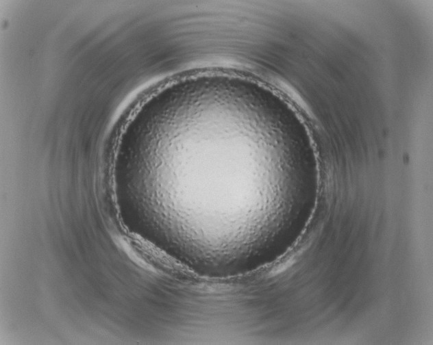 X0000081351116200701251917