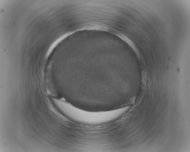 X0000081351120200701251917
