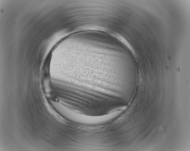 X0000081351132200701251917