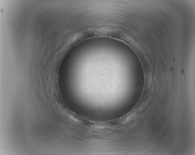 X0000081351153200701251917