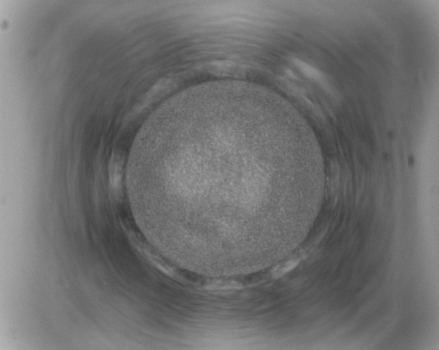 X0000081351154200701251917