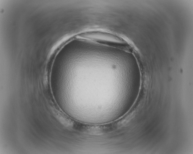X0000081351167200701251916