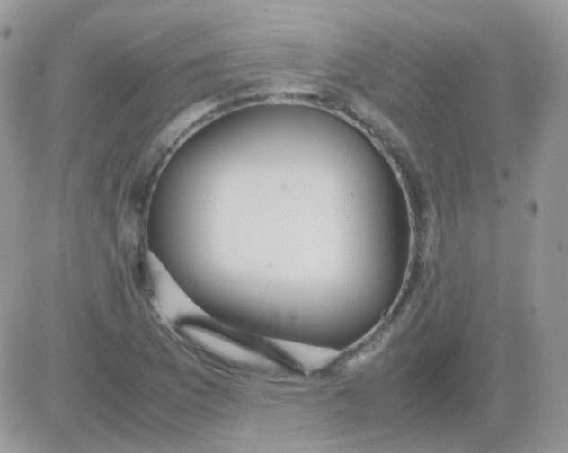 X0000081351169200701251916