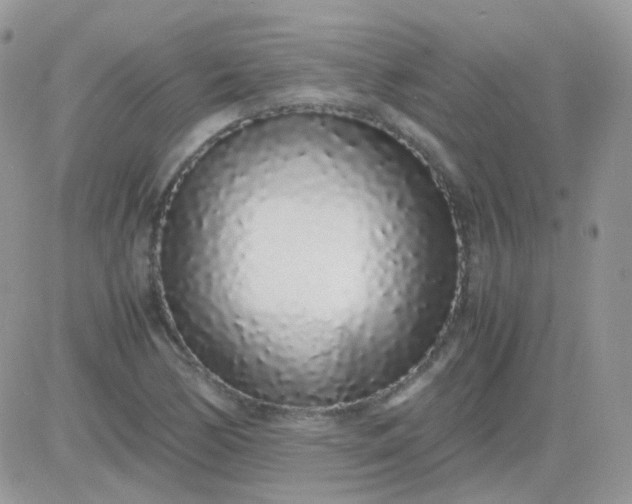 X0000081351170200701251916