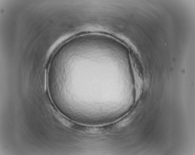 X0000081351175200701251916