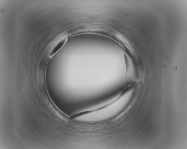 X0000081351177200701251916
