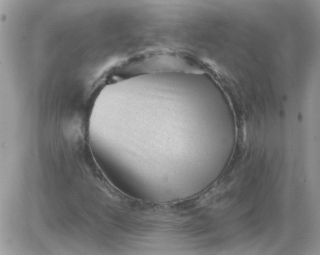 X0000081351206200701251915