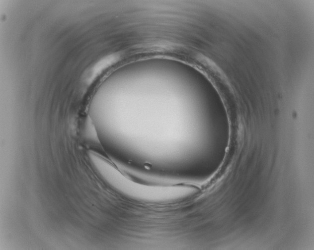 X0000081351210200701251915