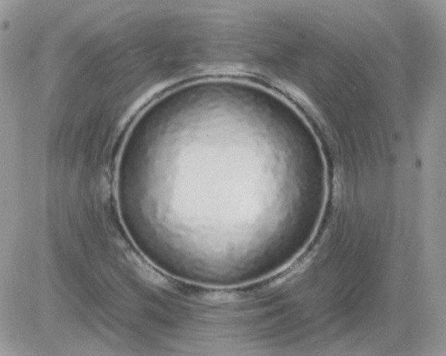 X0000081351212200701251915