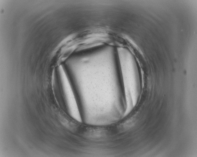 X0000081351213200701251915