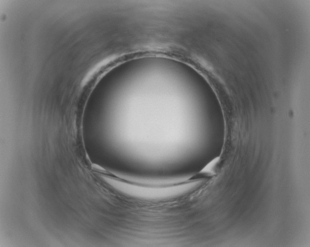 X0000081351214200701251915