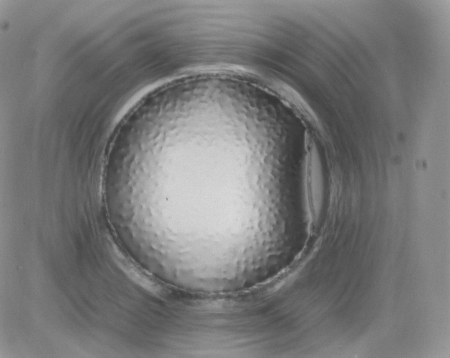 X0000081351228200701251916