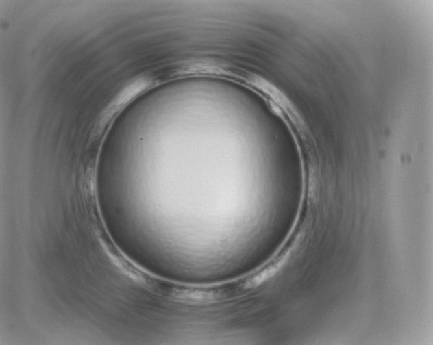 X0000081351241200701251916