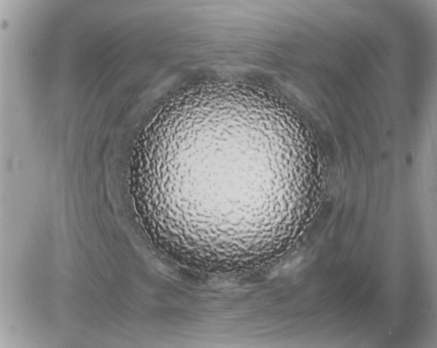 X0000081351249200701251915