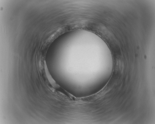 X0000081351250200701251915