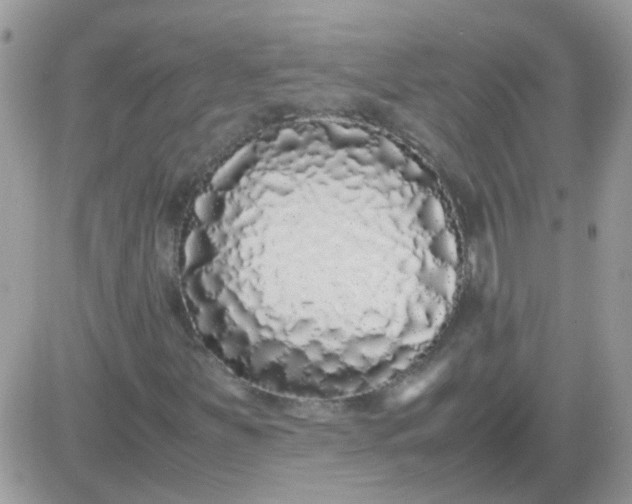 X0000081351251200701251915