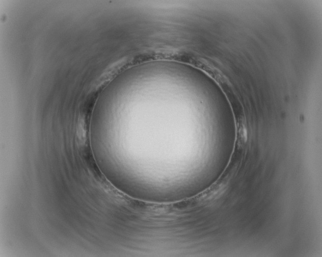 X0000081351252200701251915